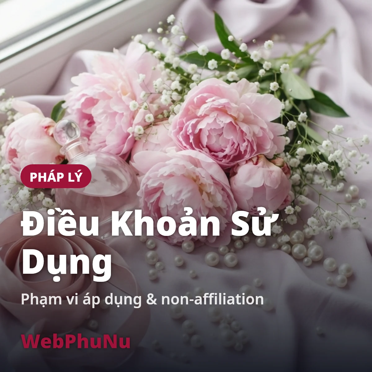 Điều khoản sử dụng WebPhuNu