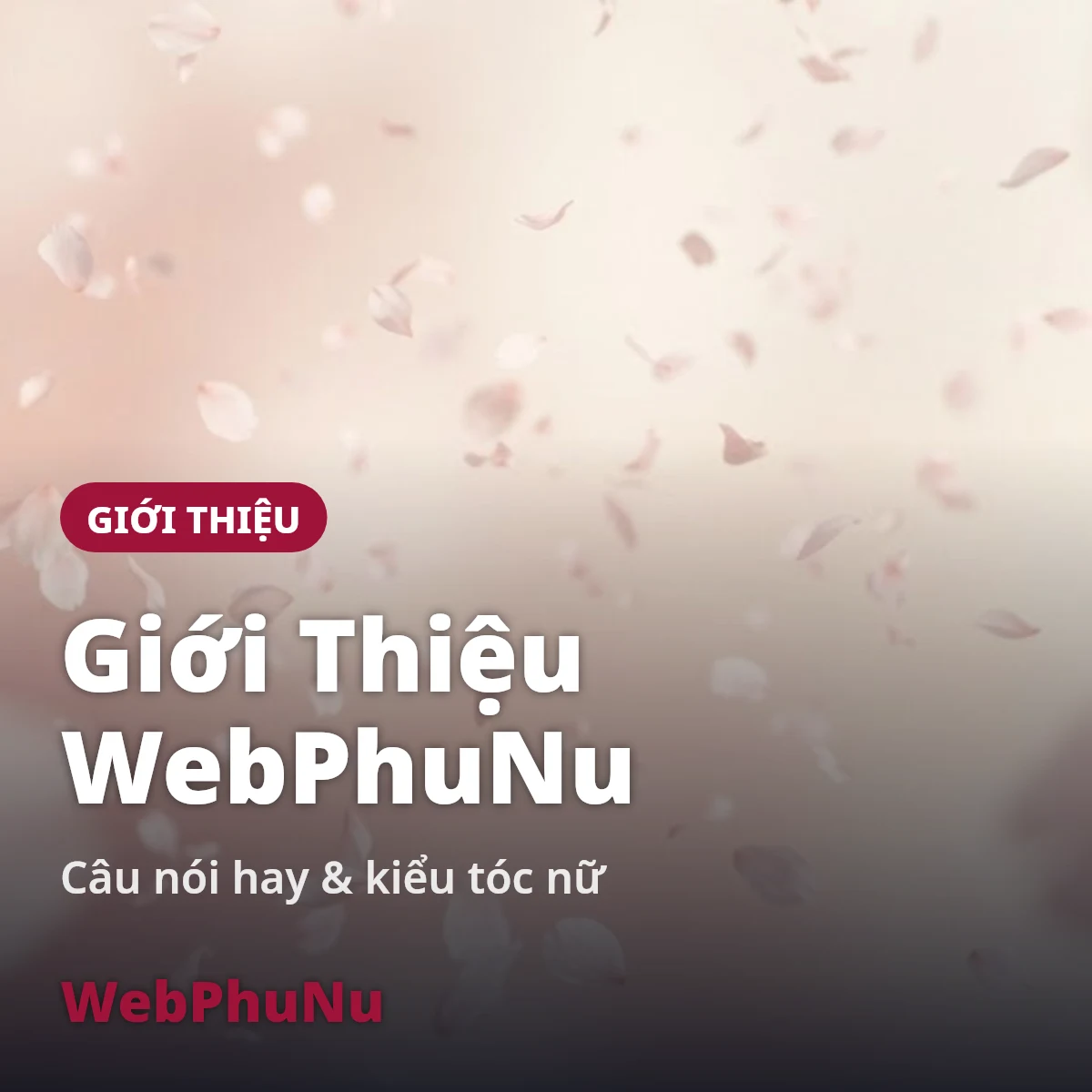 Giới thiệu Web Phụ Nữ